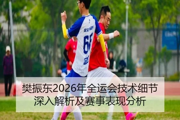 樊振东2026年全运会技术细节深入解析及赛事表现分析